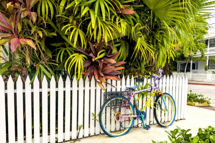 colorful bike leaning against white fence in Key West