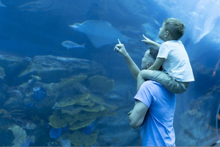 key west aquarium