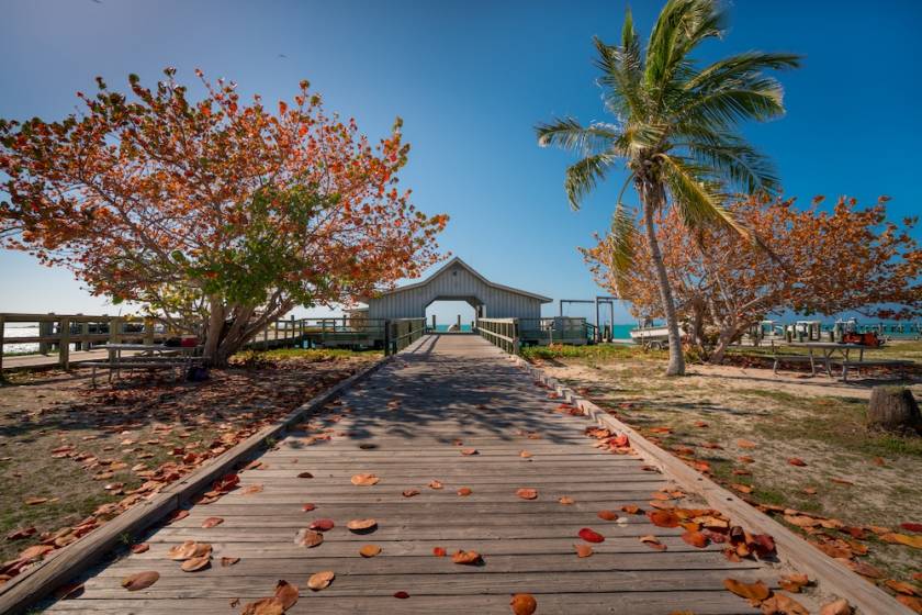 Wooden walk leading to an ocean pier in Florida on a sunny day. Palms trees moving in the wind, fallen leaves on wooden pathway. Beautiful summer day in Dry Tortugas, Florida